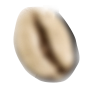 bean